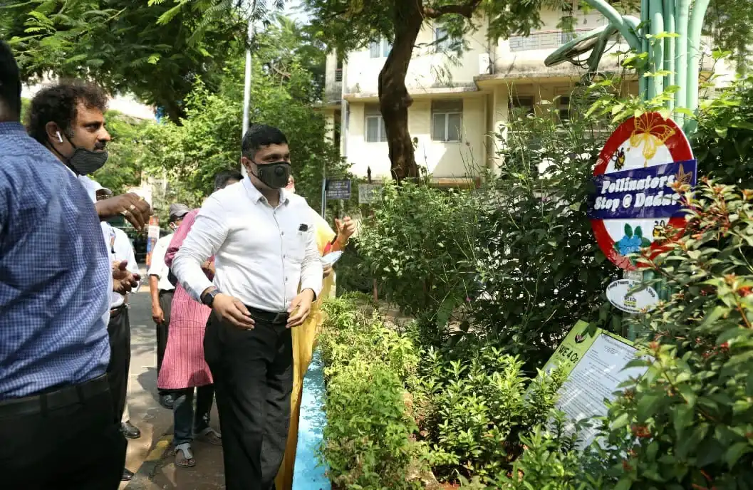 Built Mumbai’s first pollination stop at Shivaji Park, Dadar by growing some rare Ayurvedic plants.