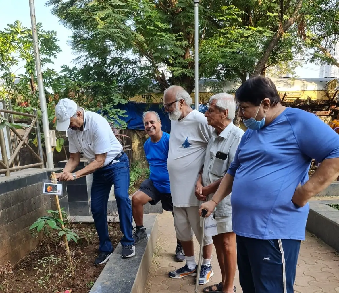 Tree plantation on environment day...( senior citizens group of WE 4 O₂ FOUNDATION)